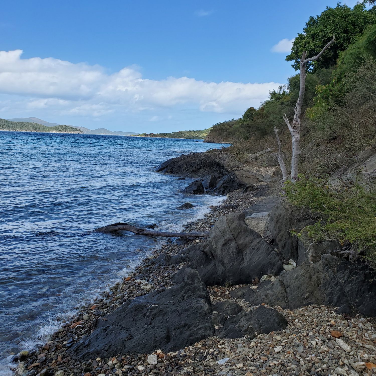 Leinster Bay 